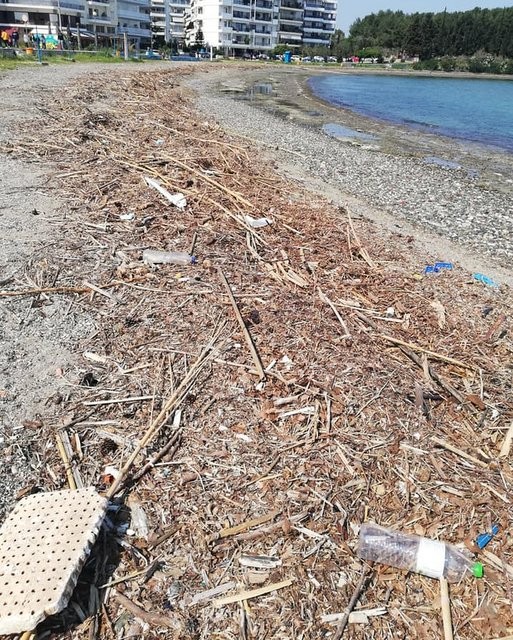 ΧΑΛΚΙΔΑ: Αποκρουστικές οι παραλίες