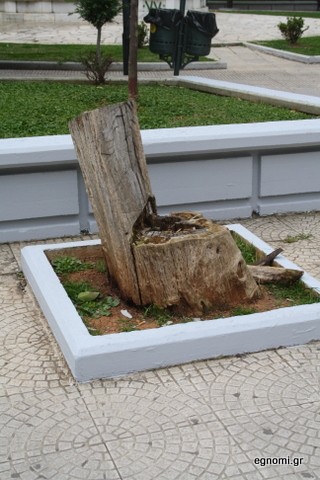 Φοβερό: Κούτσουρο - καρέκλα!