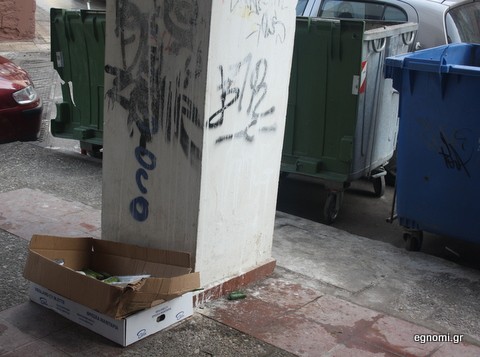 Η γαϊδουριά υπάρχει παντού