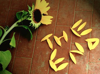 Ανεξίτηλα σημάδια άφησε η σχολική χρονιά στους μαθητές του 6ου Γυμνασίου