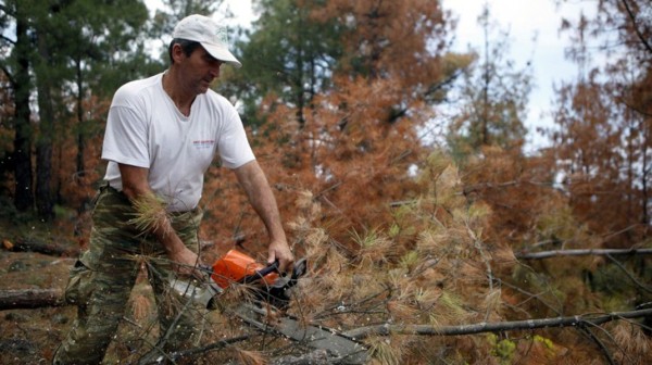 ΔΗΜΟΣ ΧΑΛΚΙΔΕΩΝ: Ενισχύεται η πυροπροστασία σε Νέα Αρτάκη και Δροσιά