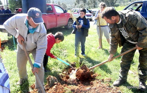 Φύτεψαν 200 δένδρα την πρωταπριλιά