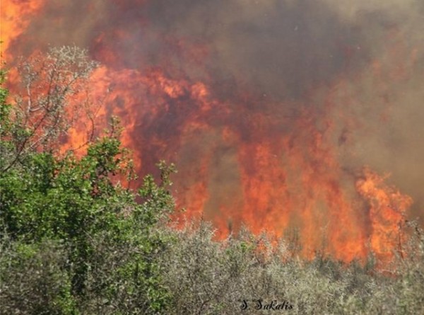 Διπλό πύρινο μέτωπο στην Κεφαλονιά