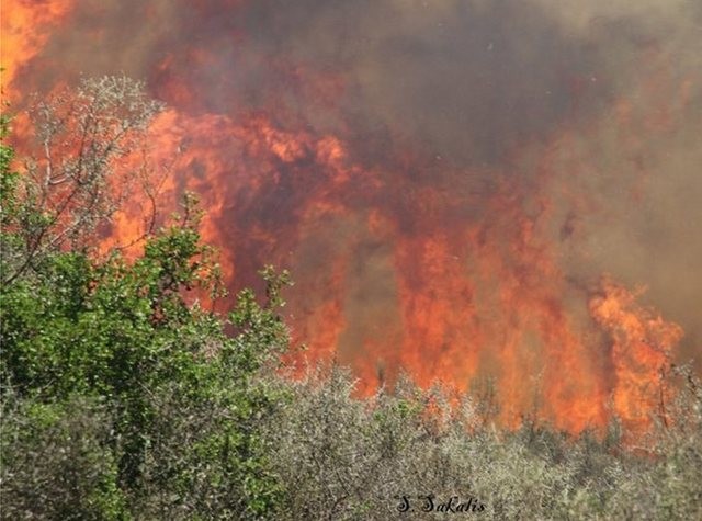 Διπλό πύρινο μέτωπο στην Κεφαλονιά