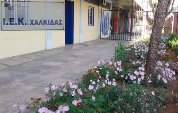 Νέες ειδικότητες στο Δημόσιο ΙΕΚ Χαλκίδας - Η προθεσμία για την εγγραφή λήγει σύντομα