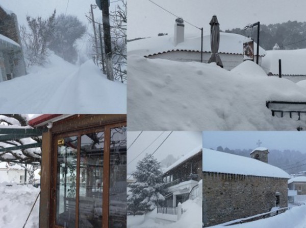 ΕΥΒΟΙΑ - ΚΑΚΟΚΑΙΡΙΑ: Θάφτηκε στο χιόνι η Σέτα αλλά ... συνηθισμένα τα βουνά στα χιόνια (φωτό)