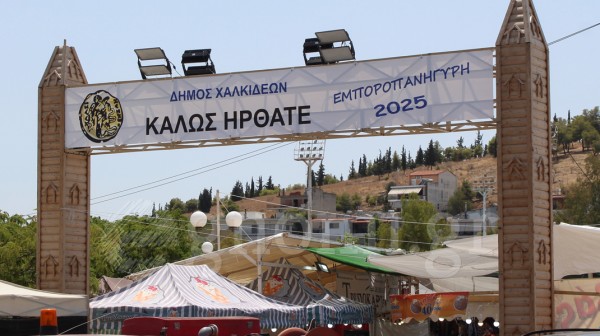 ΠΑΖΑΡΙ ΧΑΛΚΙΔΑΣ: Σε ρηχά νερά με μειωμένο ενδιαφέρον και πύλη που θυμίζει ...κάστρο!