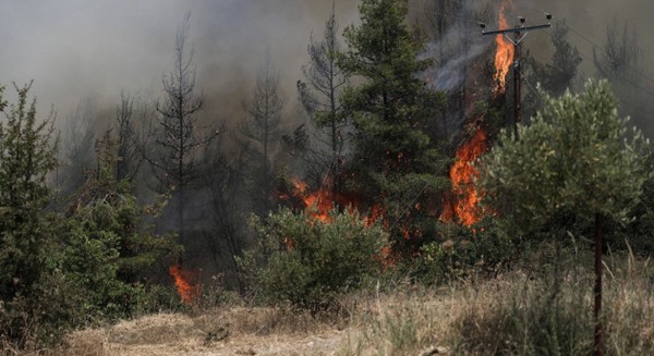 ΦΩΤΙΕΣ: Πολύ υψηλός ο κίνδυνος πυρκαγιάς την Κυριακή σε κεντρική και βόρεια Εύβοια