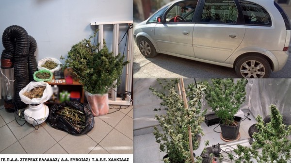 ΩΡΩΠΟΣ: Γυναίκα είχε στήσει φυτεία υδροπονικής καλλιέργειας χασίς μέσα στο σπίτι της (φωτό)