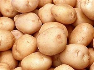 Έκλεψαν τρεις τόνους πατάτες από χωράφι!