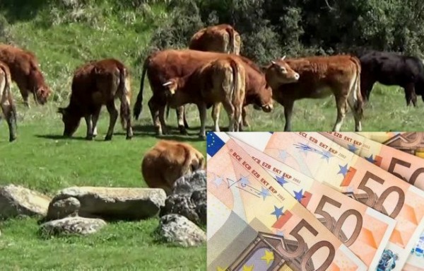 Ξεκίνησε η πληρωμή των 3,2 εκατ. ευρώ σε 660 δικαιούχους για τις σπάνιες φυλές αγροτικών ζώων