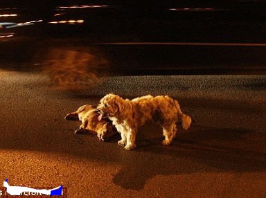 Τα νέα που θα συζητηθούν με ... άλλο μάτι!