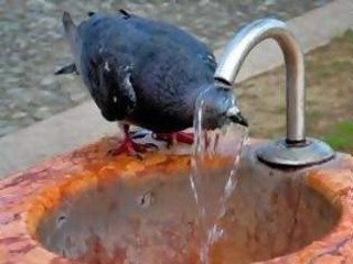 Καύσωνα διαρκείας προβλέπει η ΕΜΥ