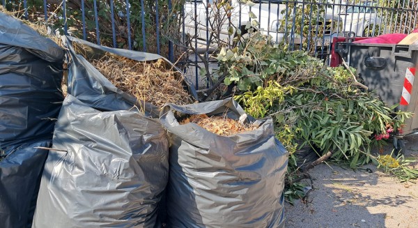 ΧΑΛΚΙΔΑ: Καθάρισαν την αυλή και παράτησαν τα χόρτα