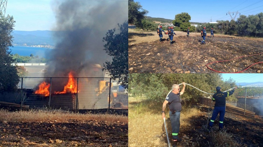 ΒΑΣΙΛΙΚΟ ΧΑΛΚΙΔΑΣ: Φωτιά σε ξερά χόρτα απείλησε να κάψει αποθήκη