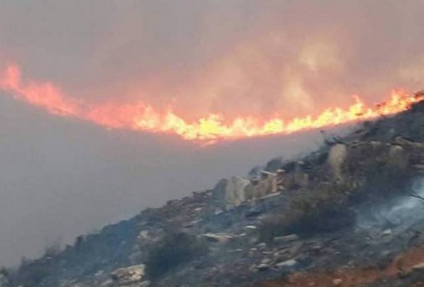 Μεγάλη φωτιά στην Άνδρο - Εκκενώθηκαν οικισμοί (VIDEO)