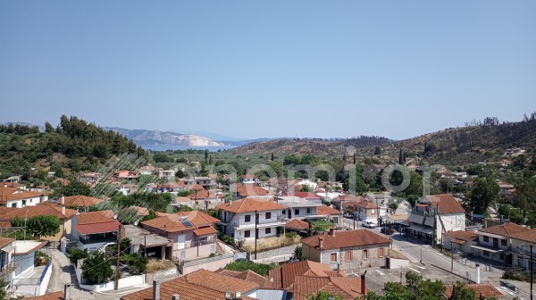 ΓΟΥΒΕΣ ΒΟΡΕΙΑ ΕΥΒΟΙΑ: Ενα χωριό γεμάτο ιστορία και όμορφα ταβερνάκια!