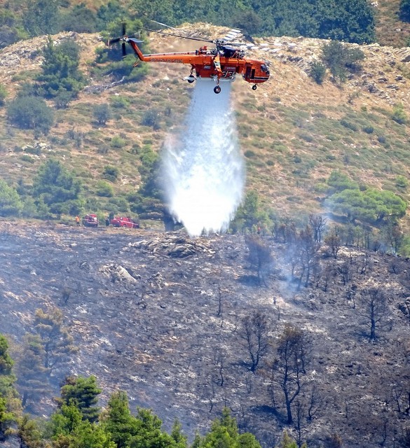 ΜΙΣΤΡΟΣ ΕΥΒΟΙΑΣ: Έσβησε η φωτιά μετά από μεγάλη κινητοποίηση το μεσημέρι της Παρασκευής