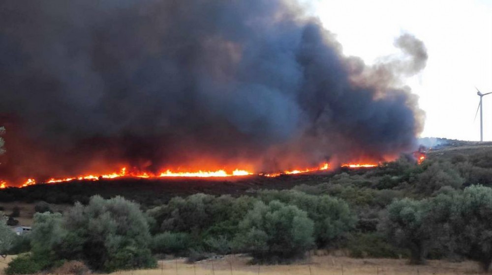 ΔΗΜΟΣ ΚΥΜΗΣ - ΑΛΙΒΕΡΙΟΥ: Σε ύφεση η φωτιά αφού έκαψε 10.000 στρέμματα - Καταστράφηκαν καλλιέργειες, βοσκοτόπια και υποδομές