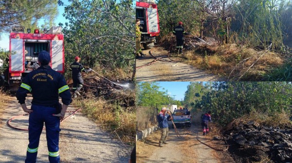 ΑΜΑΡΥΝΘΟΣ: Φωτιά σε καλαμιές το απόγευμα της Τρίτης