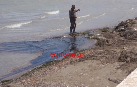 Συζήτηση για τη θαλάσσια ρύπανση στην Αυλίδα