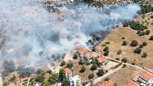 Φωτιά στη Μαγούλα Ερέτριας