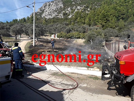 ΚΥΠΑΡΙΣΣΙ ΕΥΒΟΙΑ: Πρόλαβαν την πυρκαγιά πριν μπει στο χωριό