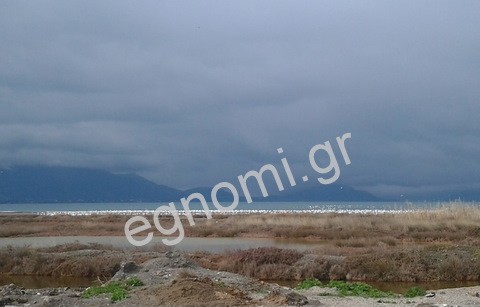 Ξέσπασε πυρκαγιά στον Κολοβρέχτη