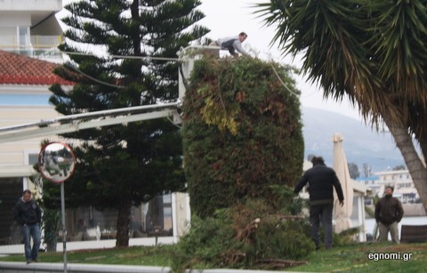 Άρχισε τα κλαδέματα ο Δήμος