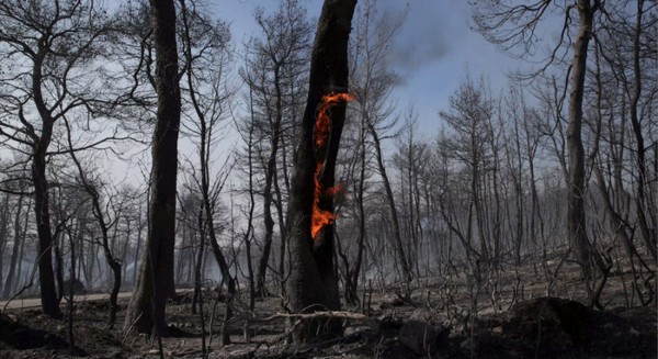 Ενεργοποιήθηκε η υπηρεσία Copernicus για την φωτιά στην Εύβοια