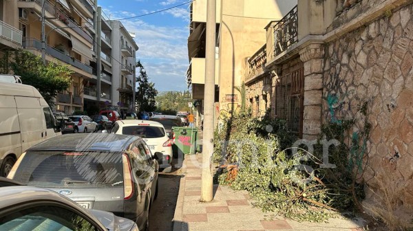 ΧΑΛΚΙΔΑ: Αδιάβατο το πεζοδρόμιο από κλαδιά