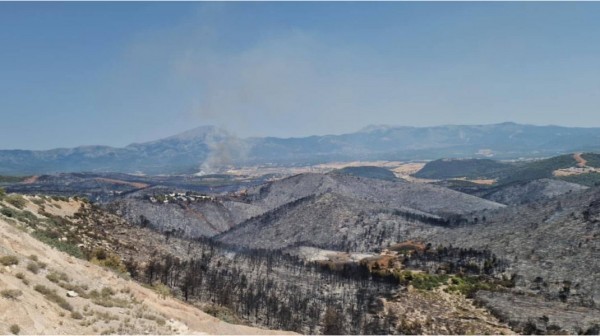 ΔΗΜΟΣ ΧΑΛΚΙΔΕΩΝ: Σε κατάσταση έκτακτης ανάγκης κηρύχτηκαν οι Δημοτικές Κοινότητες Χαλκίδας, Αφρατίου και Νέας Αρτάκης