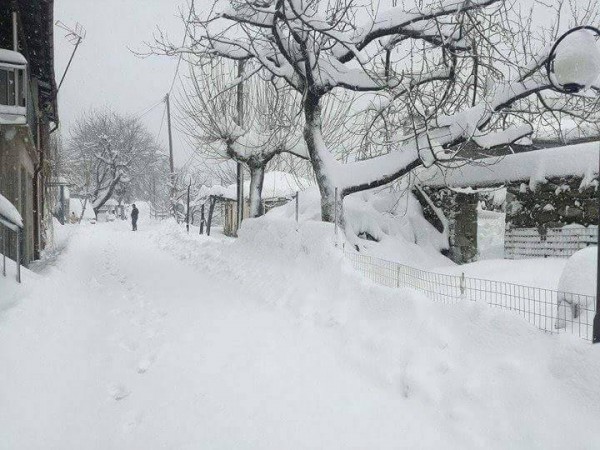 Οχι χιόνι, αλλά ...χιονάρα στον Κούτουρλα του Δήμου Κύμης-Αλιβερίου