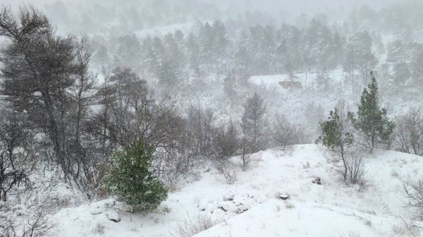 ΚΑΙΡΟΣ: Έρχονται χιόνια και τσουχτερό κρύο το Σαββατοκύριακο