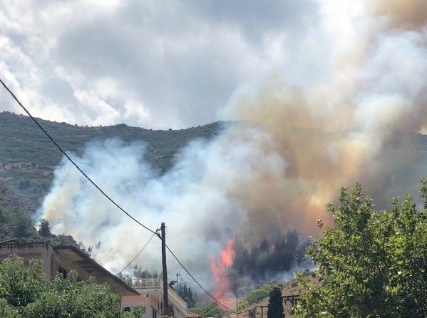 Οι φλόγες γλείφουν τις στέγες σπιτιών στην Αταλάντη