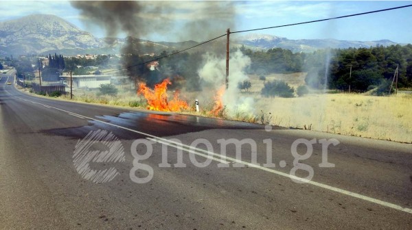 ΚΑΘΕΝΟΙ ΕΥΒΟΙΑΣ: Άρπαξε φωτιά δίπλα στο δρόμο το απόγευμα της Τρίτης