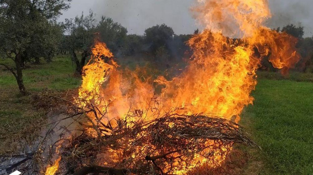 Διευκρινίσεις της Πυροσβεστικής για δραστηριότητες στην ύπαιθρο κατά τη χειμερινή περίοδο
