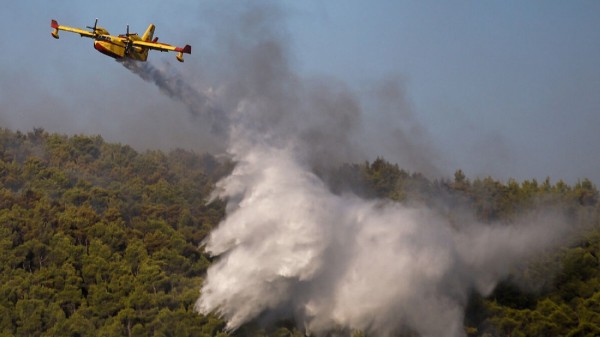 ΒΟΙΩΤΙΑ: Άρπαξε φωτιά στην περιοχή της Ασωπίας το απόγευμα της Τρίτης