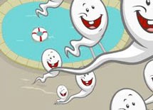 Τι κοινό έχουν τα σπερματοζωάρια....