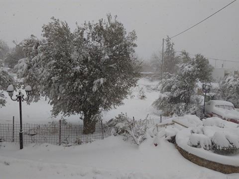 Ελα να βλέπουμε φωτό από την Εύβοια! Χιονισμένες εικόνες και από την Αμφιθέα