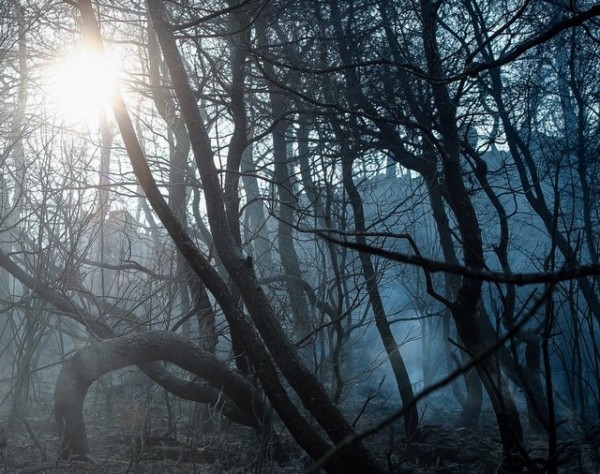 ΦΩΤΙΑ-ΕΥΒΟΙΑ: Το πρώτο φως της ημέρας έδειξε το μέγεθος της καταστροφής