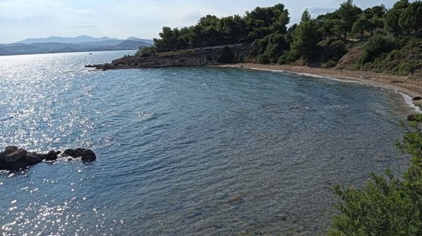 ΣΙΔΕΡΙΤΗΣ: Βόλτα με πανσέληνο στην παράκτια διαδρομή της Δροσιάς