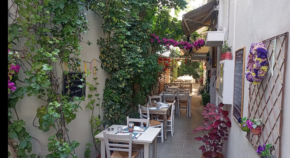 ΧΑΛΚΙΔΑ: Το αγαπημένο Στενάκι πλημμυρίζει από πράσινο και γεύσεις!