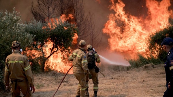 ΜΕΣΟΧΩΡΙΑ ΕΥΒΟΙΑΣ: Φωτιά σε δασική έκταση τα ξημερώματα της Κυριακής