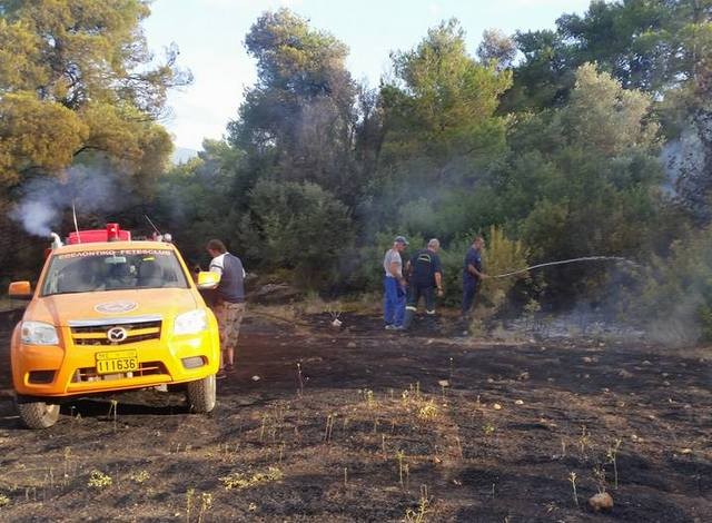 ΕΡΕΤΡΙΑ: Εθελοντές και πυροσβέστες έσωσαν το Καστέλι
