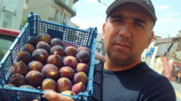 ΖΕΜΠΙΛΗΣ: Στα 205 ευρώ η στρεμματική αποζημίωση των συκοπαραγωγών για μείωση παραγωγής