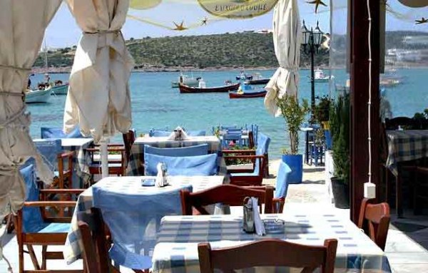 Ποντικοί σε ουζερί της Λαμψάκου