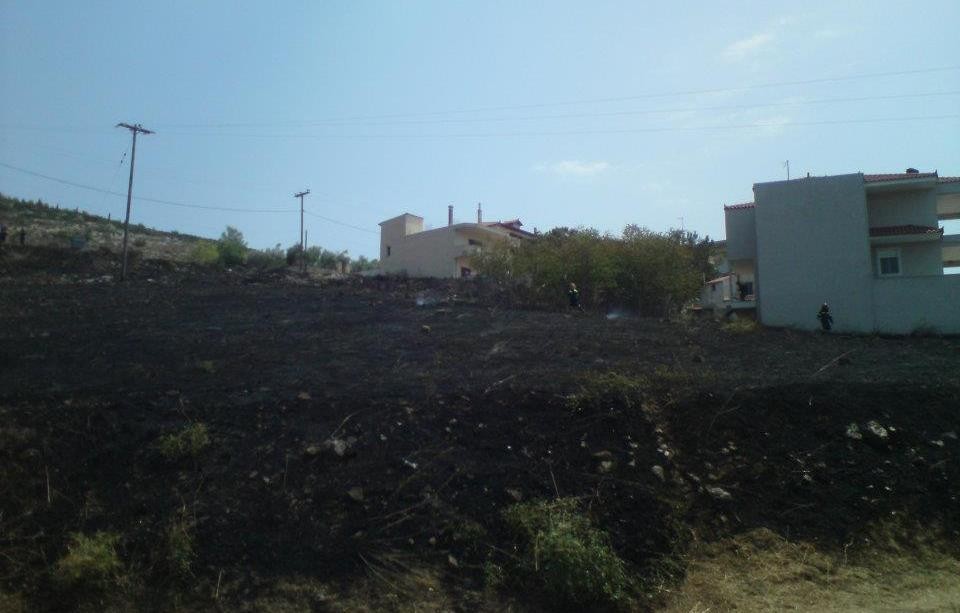 Χαλκίδα: Φωτιά στο Δοκό λαχτάρησε τους κατοίκους