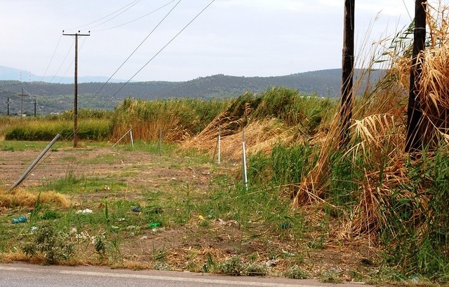 Στήνουν φωτοβολταϊκούς σταθμούς στον υγροβιότοπο του Κολοβρέχτη