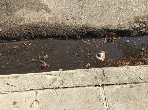 Συνεχιζόμενη διαρροή νερού στην οδό 25ης Μαρτίου στη Χαλκίδα